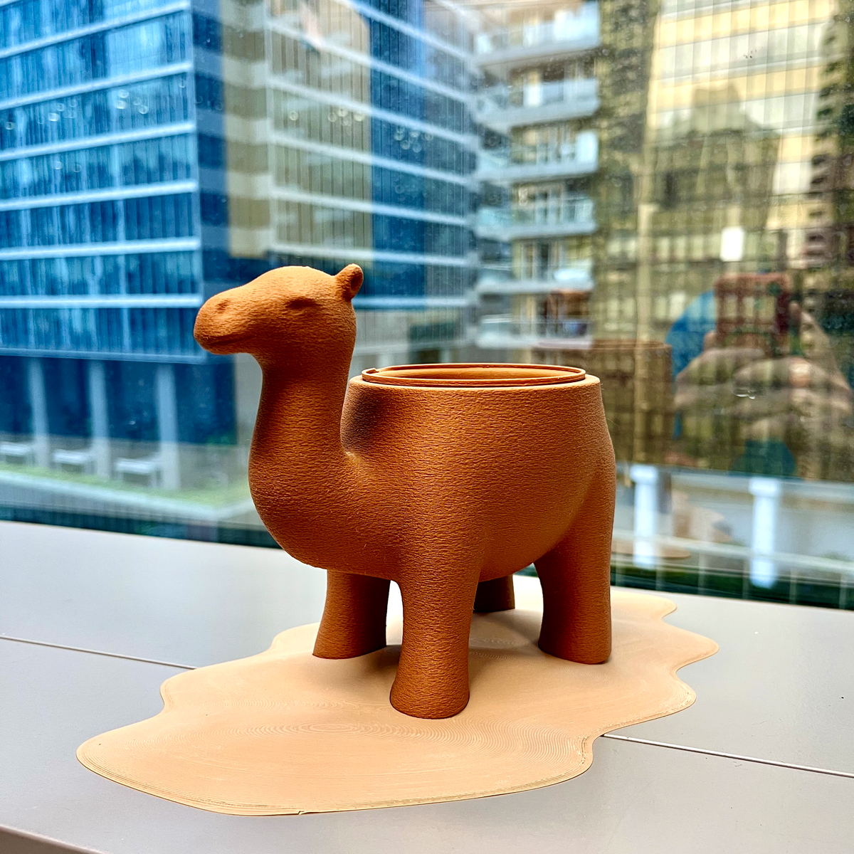Camelpot - thumbnail 5